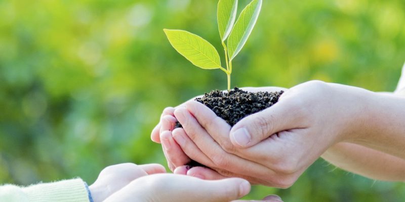 BIOPAR® Products - United Biopolymers